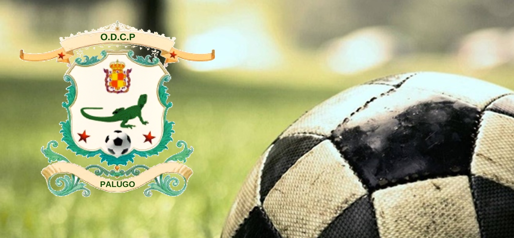 Liga Deportiva Comunitaria Palugo